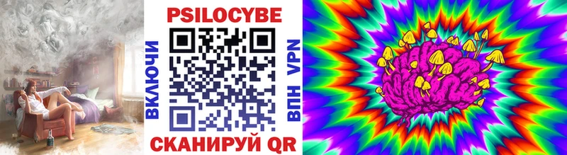 Псилоцибиновые грибы MAGIC MUSHROOMS  даркнет сайт  Карачаевск 