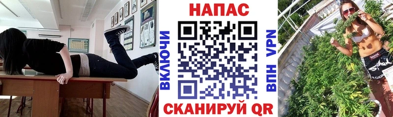 Бошки Шишки Amnesia  Карачаевск 